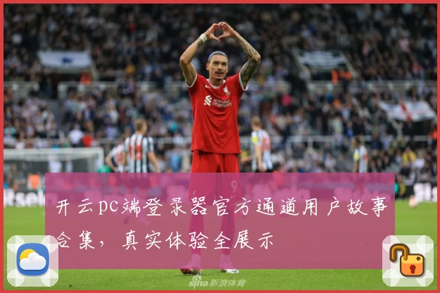 开云pc端登录器官方通道用户故事合集，真实体验全展示