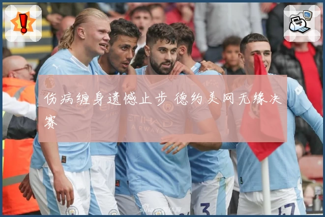 伤病缠身遗憾止步 德约美网无缘决赛