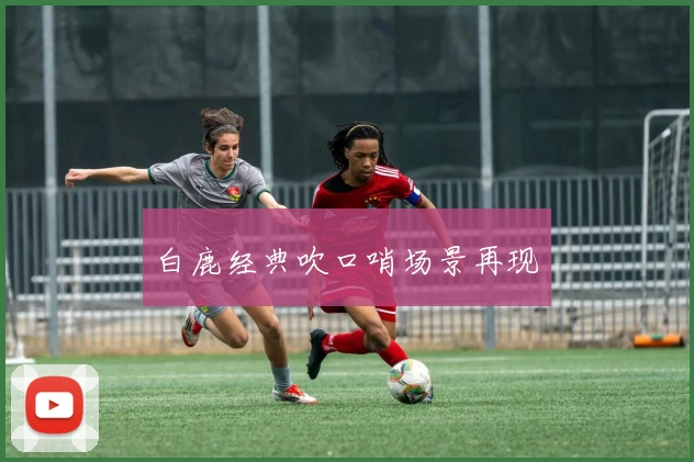 白鹿经典吹口哨场景再现