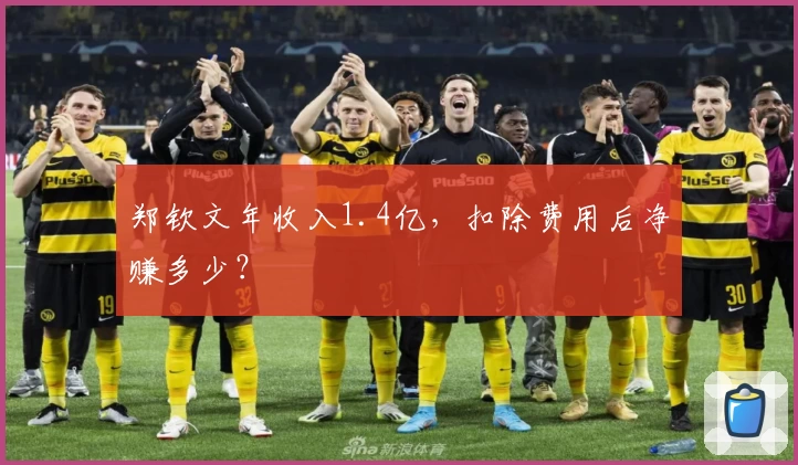 郑钦文年收入1.4亿，扣除费用后净赚多少？